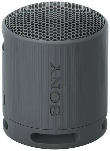 Image of Sony SRSXB100B.CE7 Bluetooth® Lautsprecher Freisprechfunktion, spritzwassergeschützt Schwarz