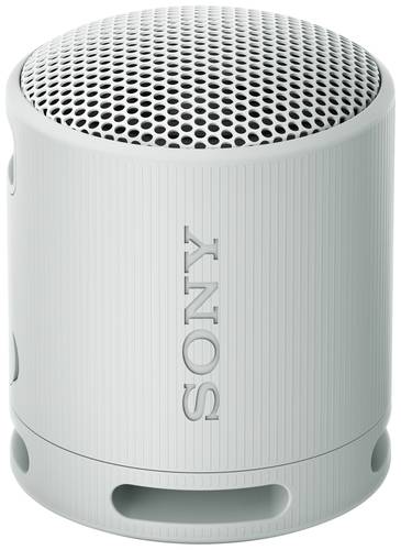 Image of Sony SRSXB100H.CE7 Bluetooth® Lautsprecher Freisprechfunktion, spritzwassergeschützt Hellgrau