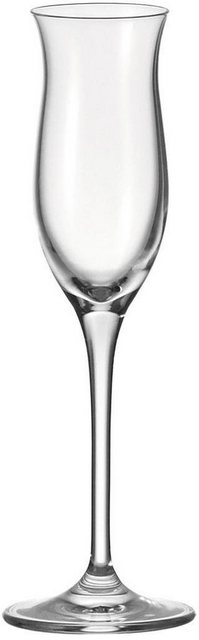 Image of LEONARDO Grappaglas »CHEERS«, Glas, 6-teilig